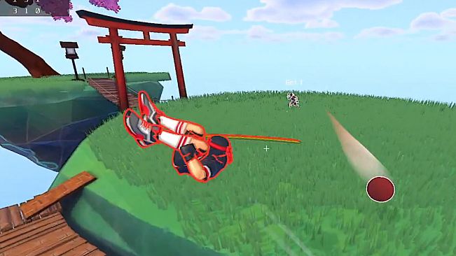 Ninja Dodgeball