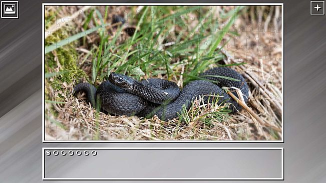 Super Jigsaw Puzzle: Generations - Snakes Puzzles