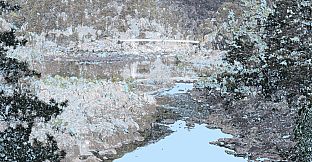 Petra and The Thylacine