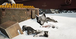 Vigor - DayZ Frostline Pack