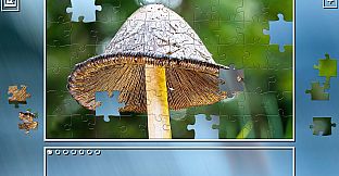 Super Jigsaw Puzzle: Generations - Mushrooms
