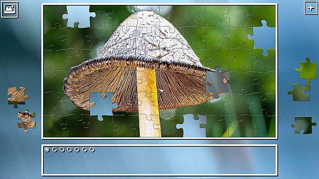 Super Jigsaw Puzzle: Generations - Mushrooms