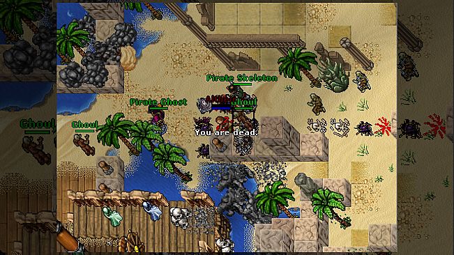 Tibia