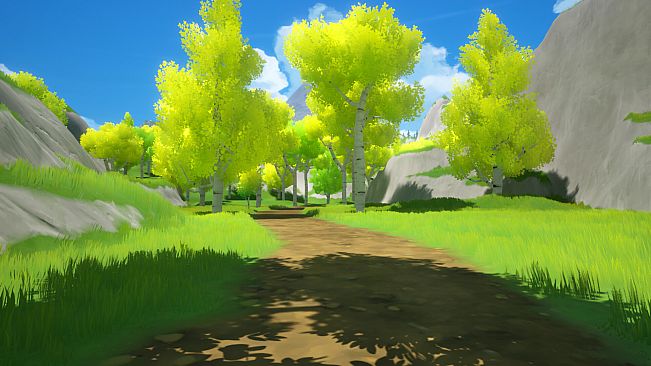 Still Trails: Camping