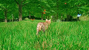 CATS GAME: stray cat, pet kitty, dog simulation adventure