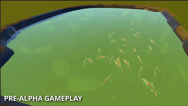 Koi Oasis: Breed. Build. Bloom.