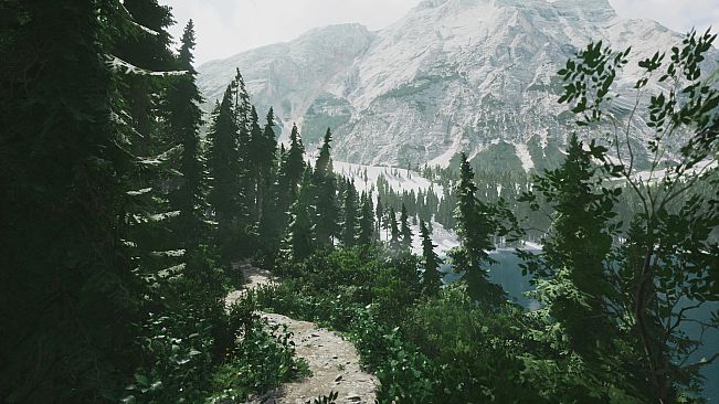 Lushfoil Photography Sim