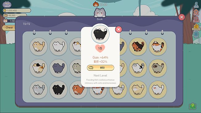 猫语拾光 Cat And Life