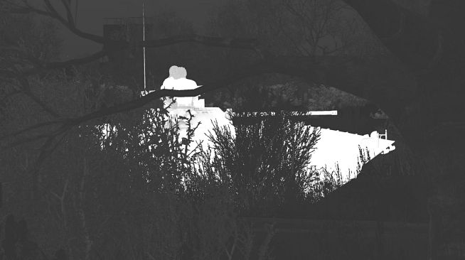 Arma 2: Private Military Company