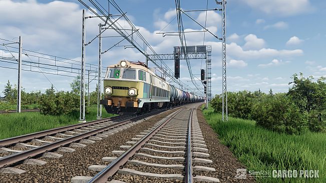 SimRail - The Railway Simulator: Cargo Pack