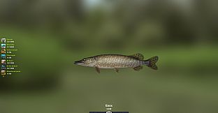 Trophy Fishing 2