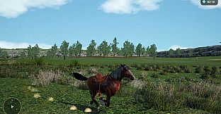 Horse Spirit Valley 2