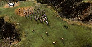 Age of Empires IV: Knights of Cross and Rose 