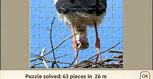 House of Jigsaw: Amazing Birds