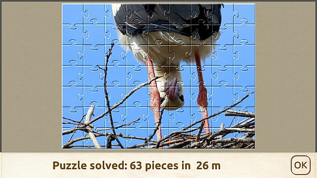 House of Jigsaw: Amazing Birds