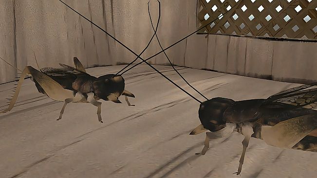 Fantasy Puzzle 3D奇幻拼图世界VR