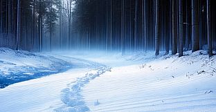 JR's Christmas Adventure