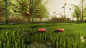 Nature And Life - Drunk On Nectar