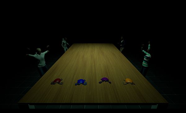 Underground Turtle Races