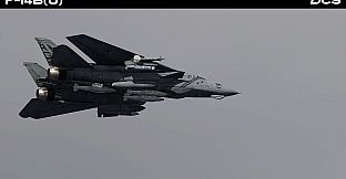 DCS: F-14B(U) by Heatblur Simulations