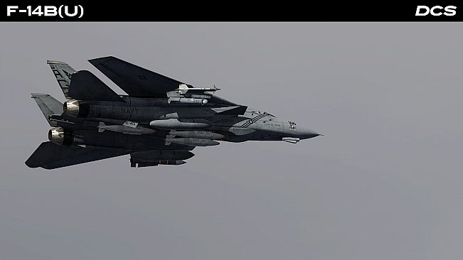 DCS: F-14B(U) by Heatblur Simulations