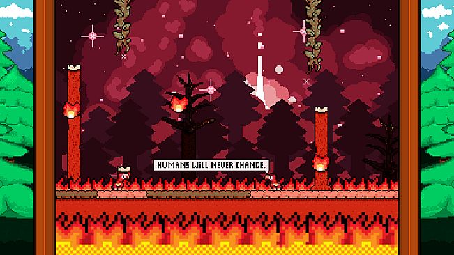 Mawkey The Last Macaw