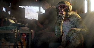 FAR CRY 4 GOLD EDITION