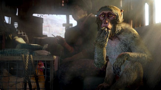 FAR CRY 4 GOLD EDITION