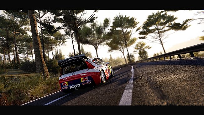 Citroën C4 WRC (2010)