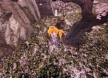 TempleFight