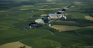 IL-2 Sturmovik: P-38J-25 Collector Plane