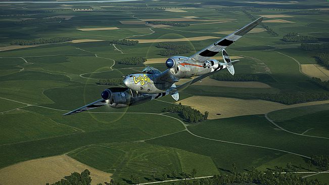 IL-2 Sturmovik: P-38J-25 Collector Plane