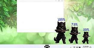 PawTop Cats