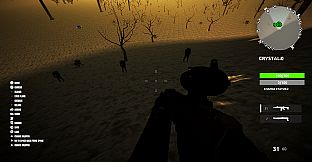 Cosmic Consciousness