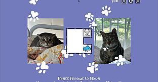 JustWatchMyCat - Support