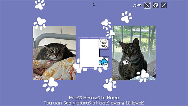 JustWatchMyCat - Support