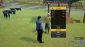 Village Dealer Simulator