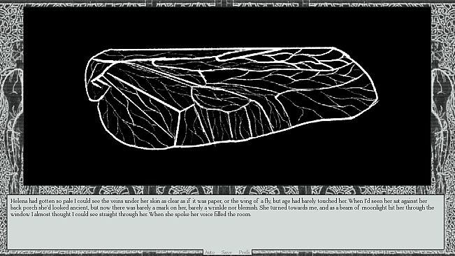 A List Of People Who Went Missing In The Scheleirland National Forest