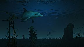 FIRE The First Dreamer