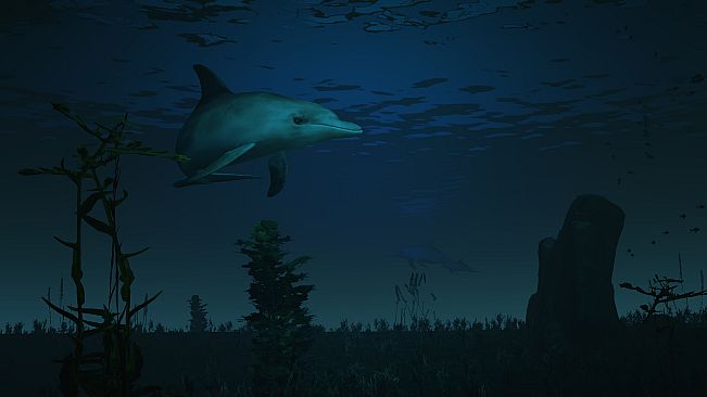 FIRE The First Dreamer