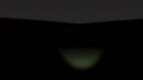 The Creature Zone VR