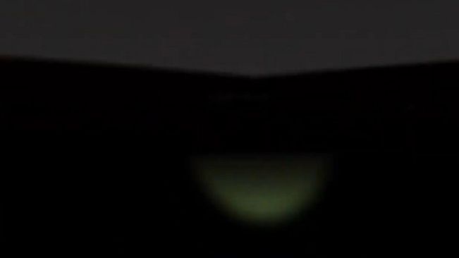 The Creature Zone VR