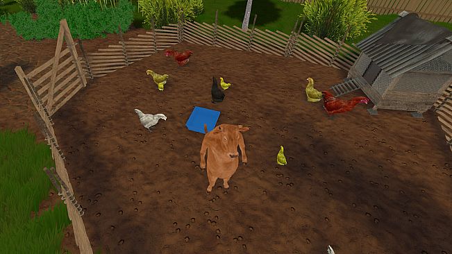 Cow's Heart