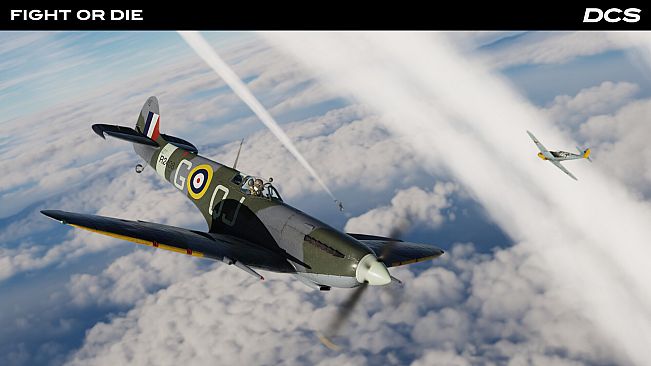 DCS: Spitfire Fight or Die Campaign by Reflected Simulations