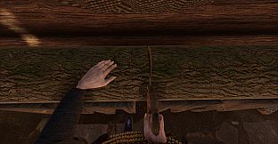 They are in the Trees