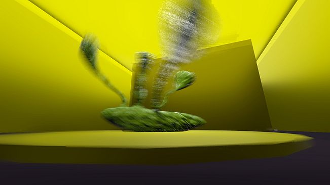 Museum Of Extravagance