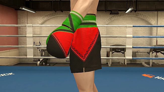The Thrill Of The Fight 2 - Victory Gear Shorts