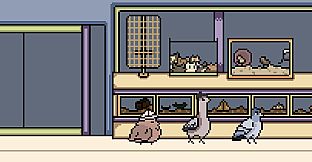 Three Pigeons in a Trench Coat