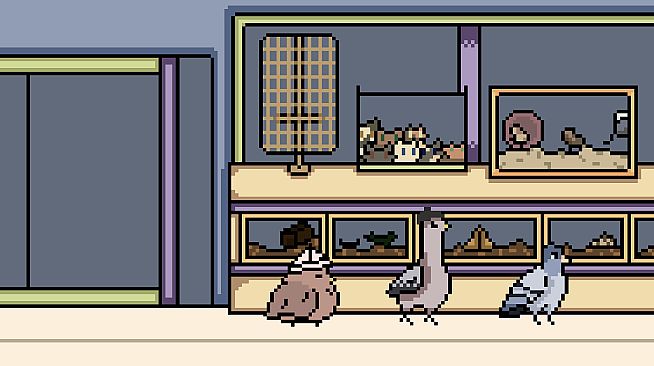 Three Pigeons in a Trench Coat