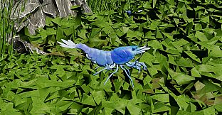 Shrimpscape